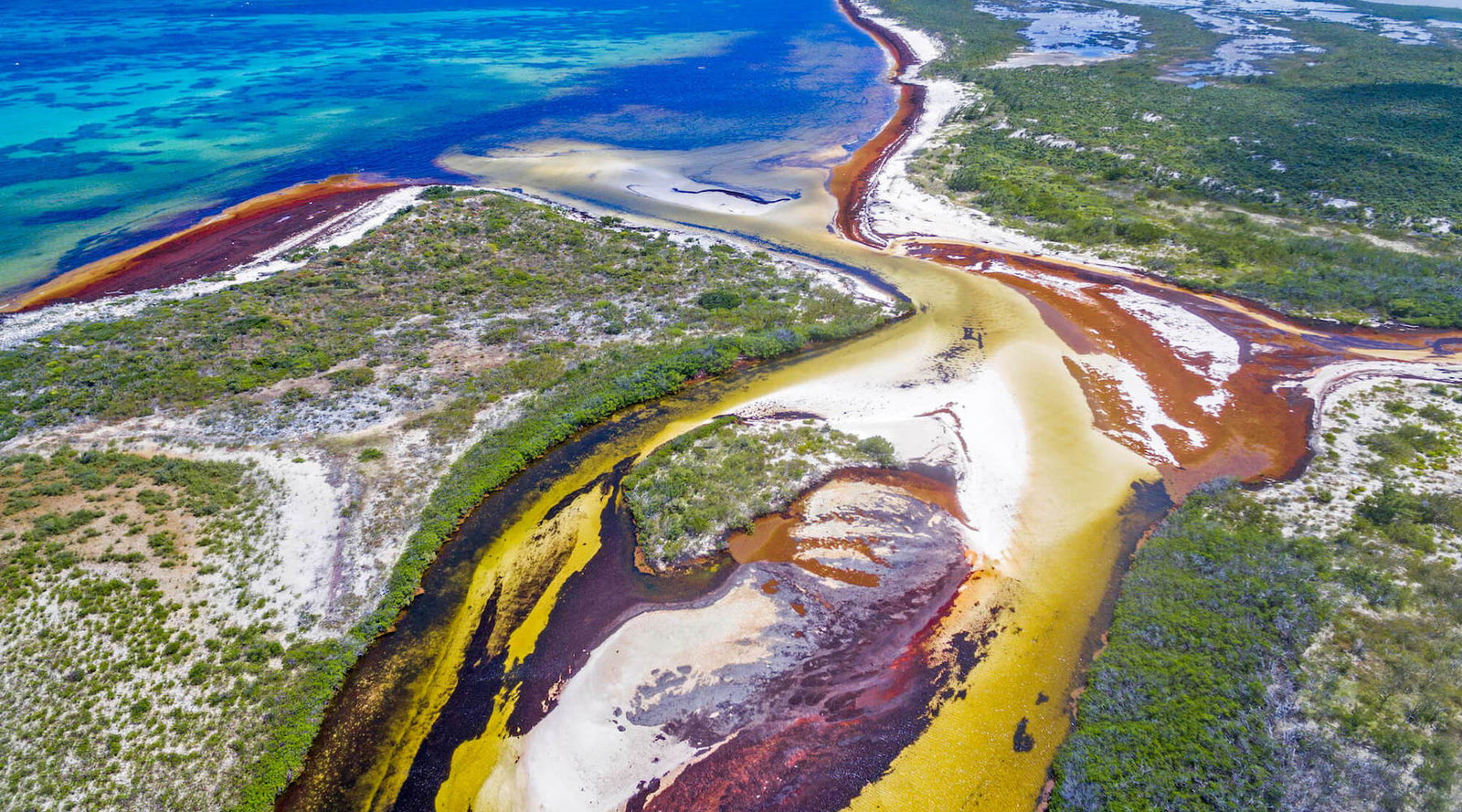Sea, Sun, Sand, Sargassum?