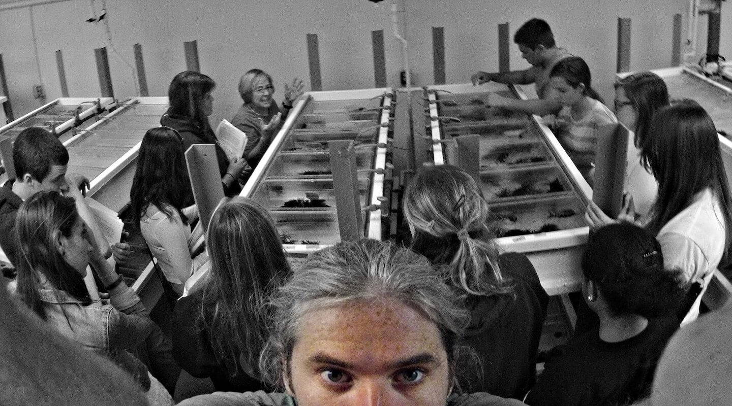 Stepping outside your echo chamber