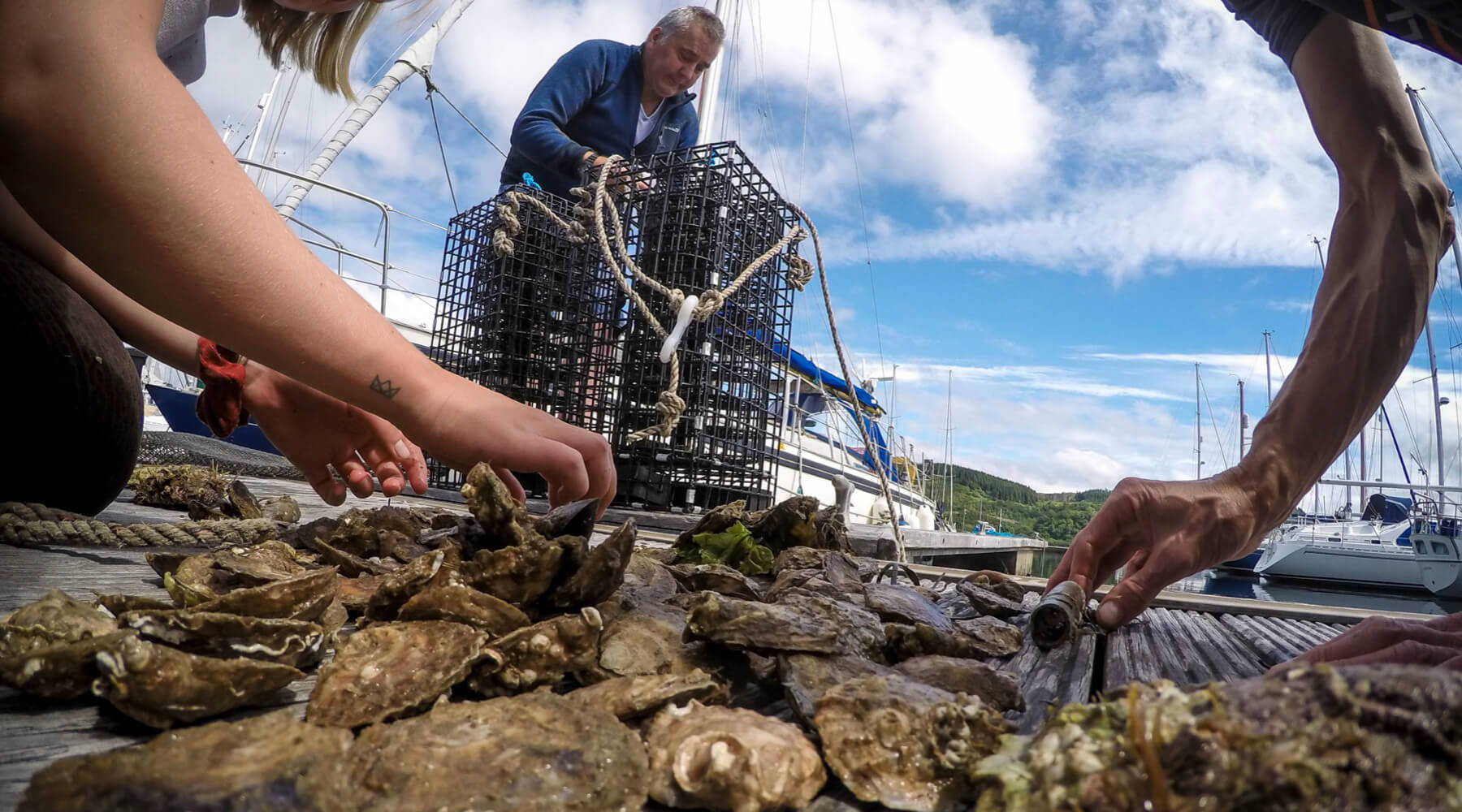 Turning the Tide on Scotland’s Shallow Reefs