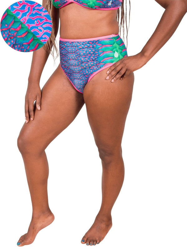 Tropical Parrotfish Printed High-Waisted Swim Bikini Bottom