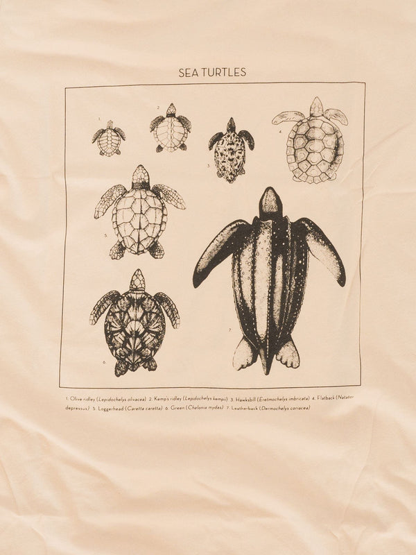waterlust-sea-turtle-id-tee-