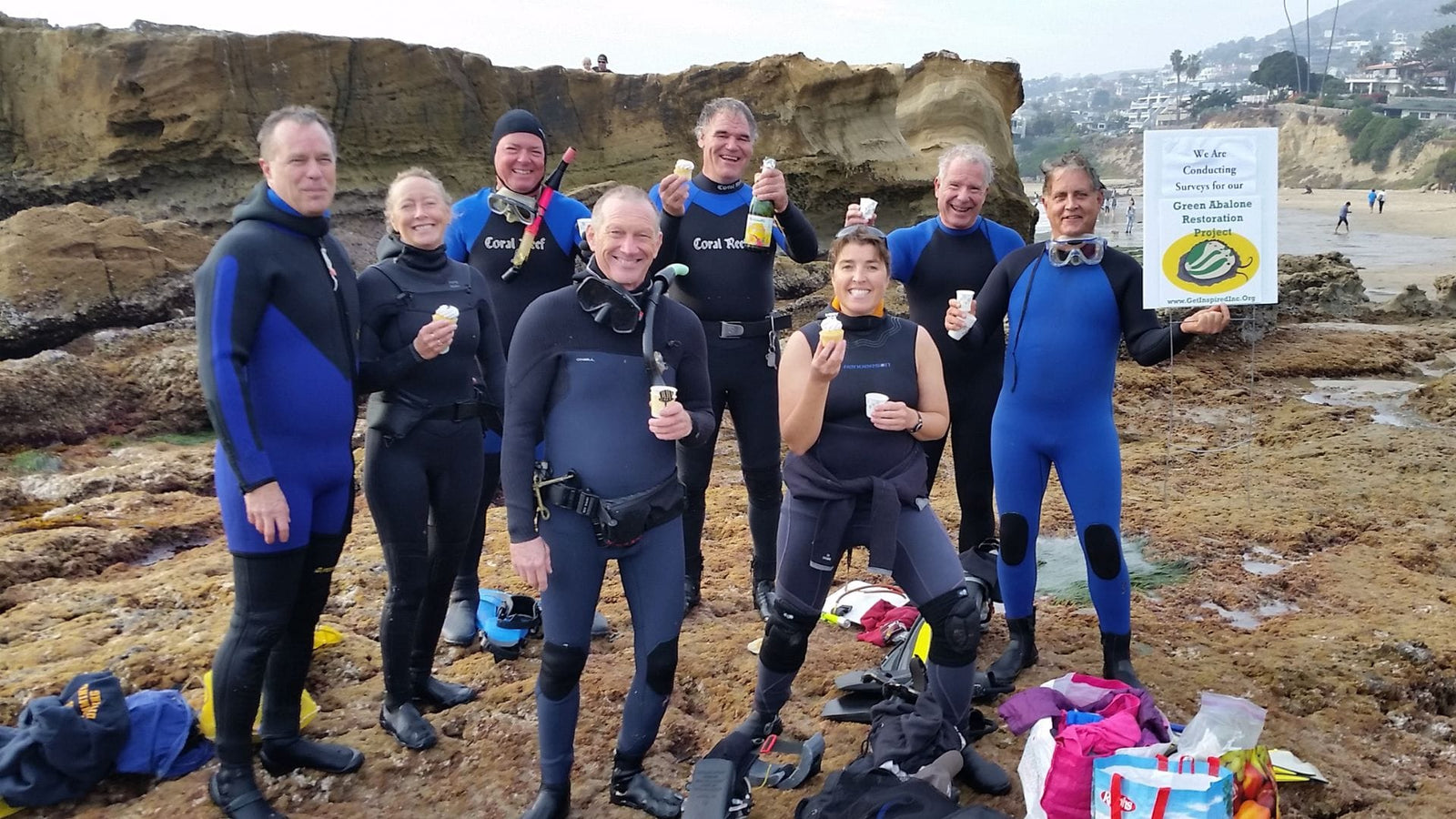 Volunteers conducting abalone surveys