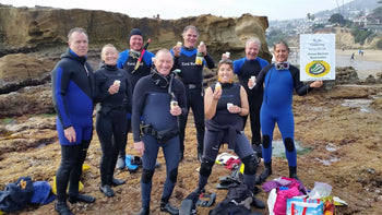 Volunteers conducting abalone surveys