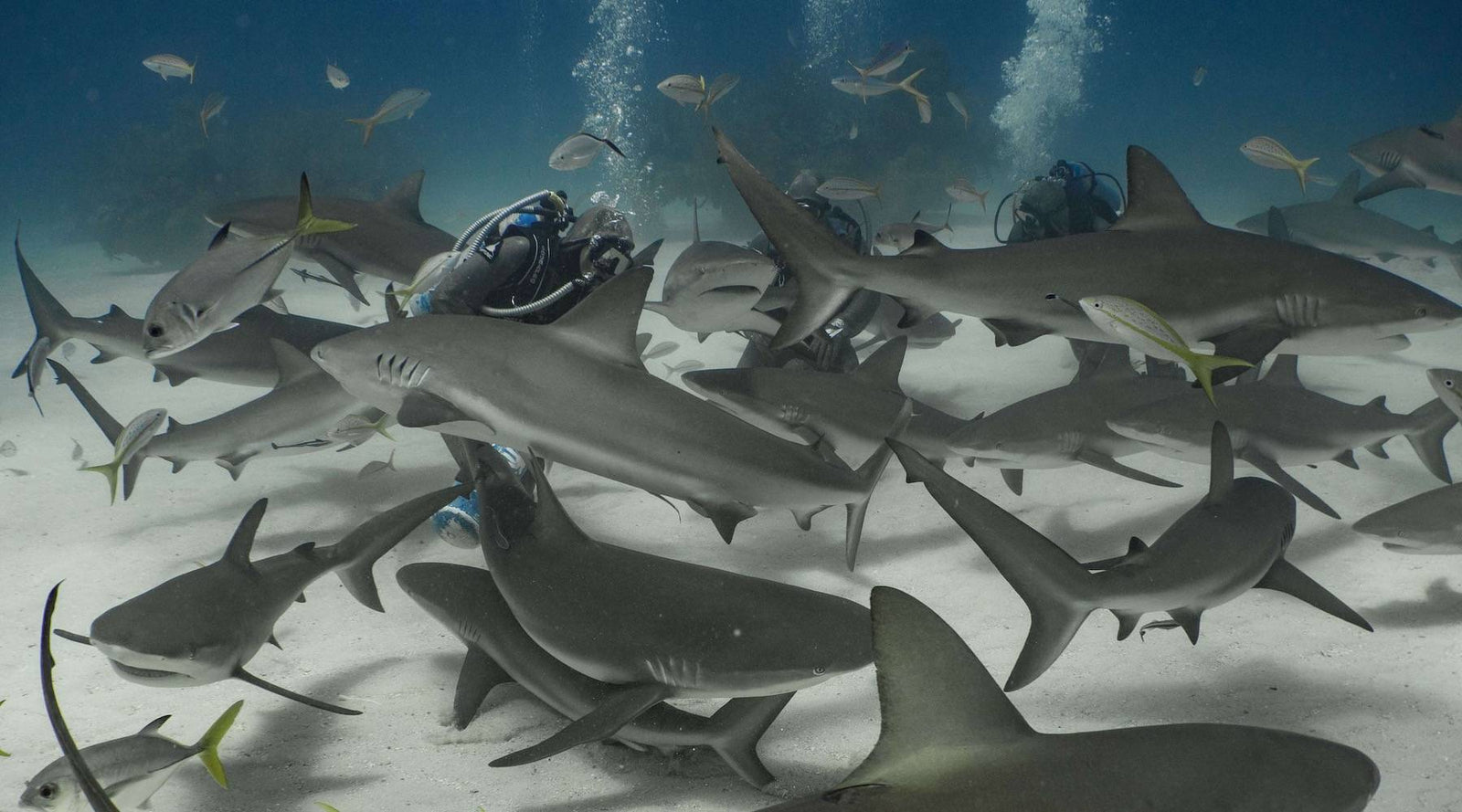 One Hook Of A Difference