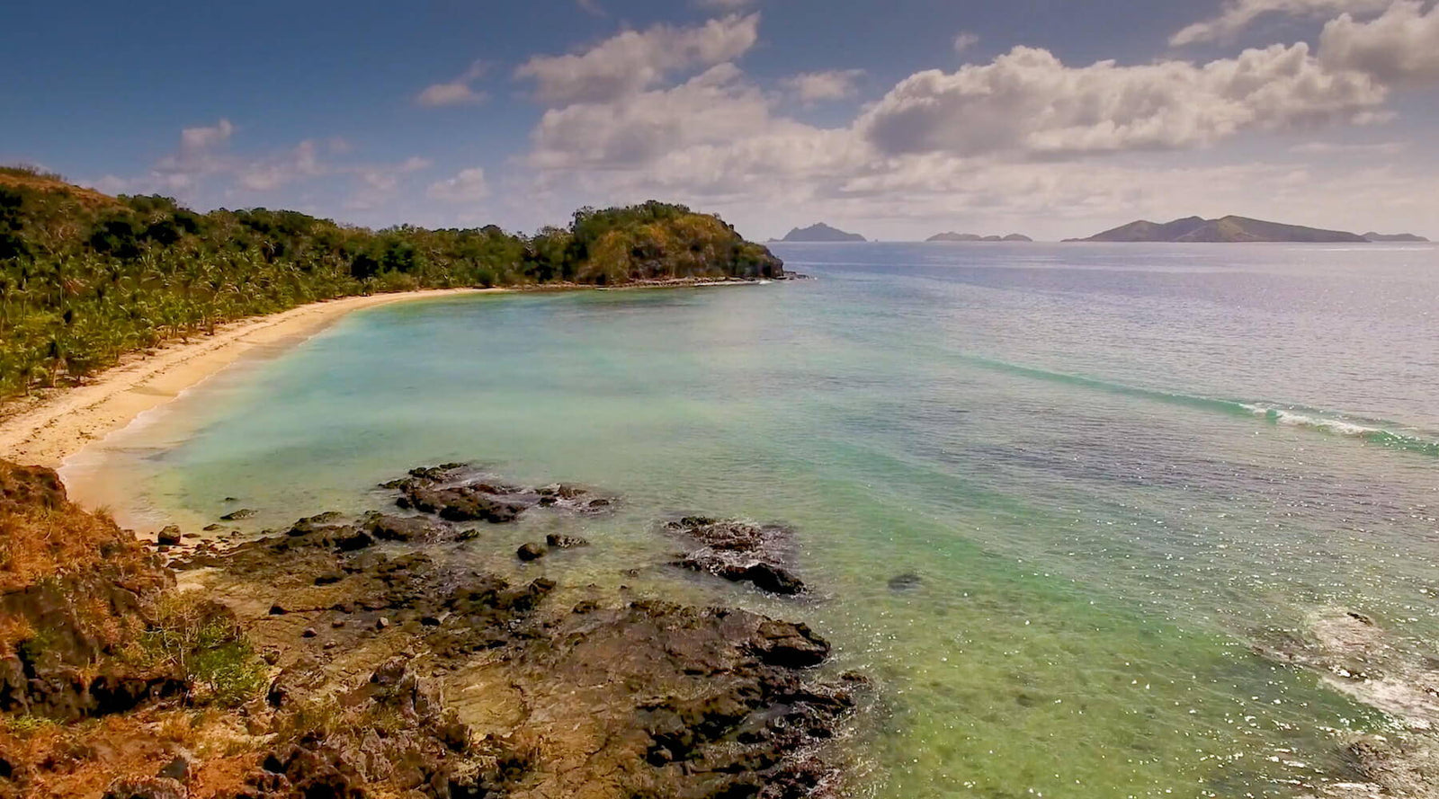 Who's That Shark? Take A Plunge Into Personality