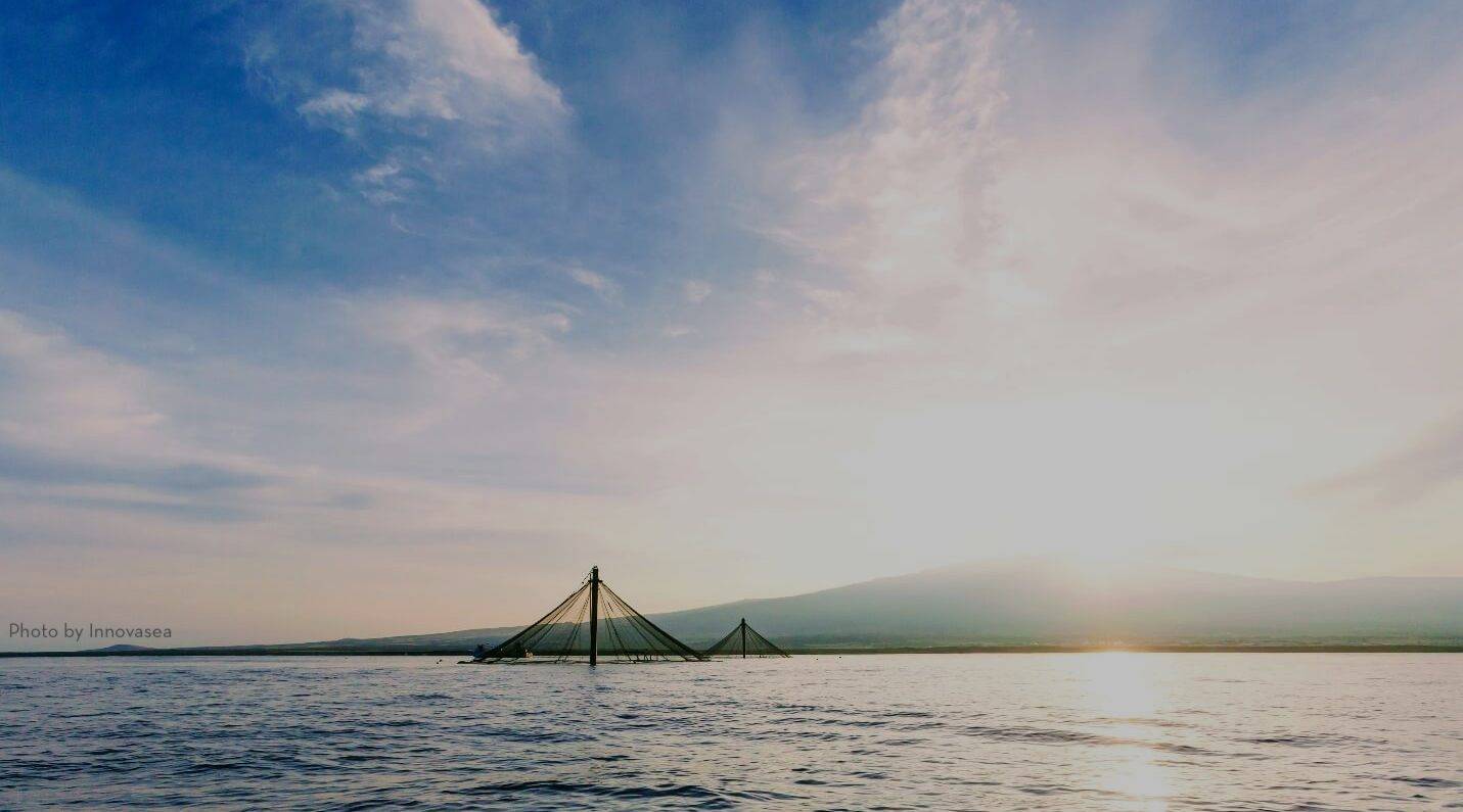 Can Aquaculture Be A Conservation Tool?