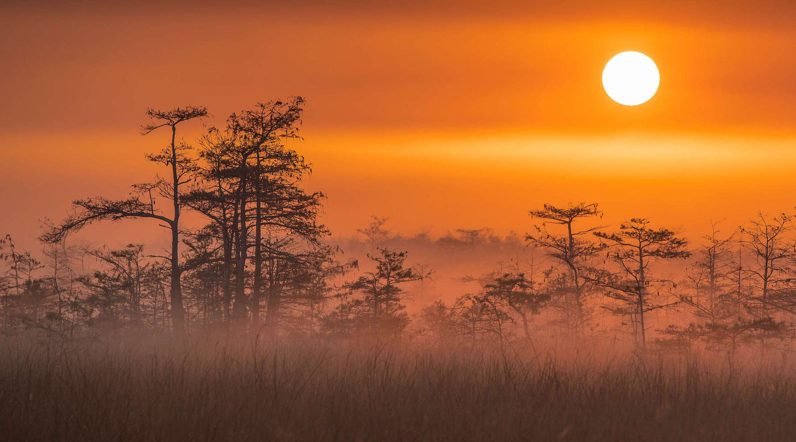 Stop & Drop Assignment