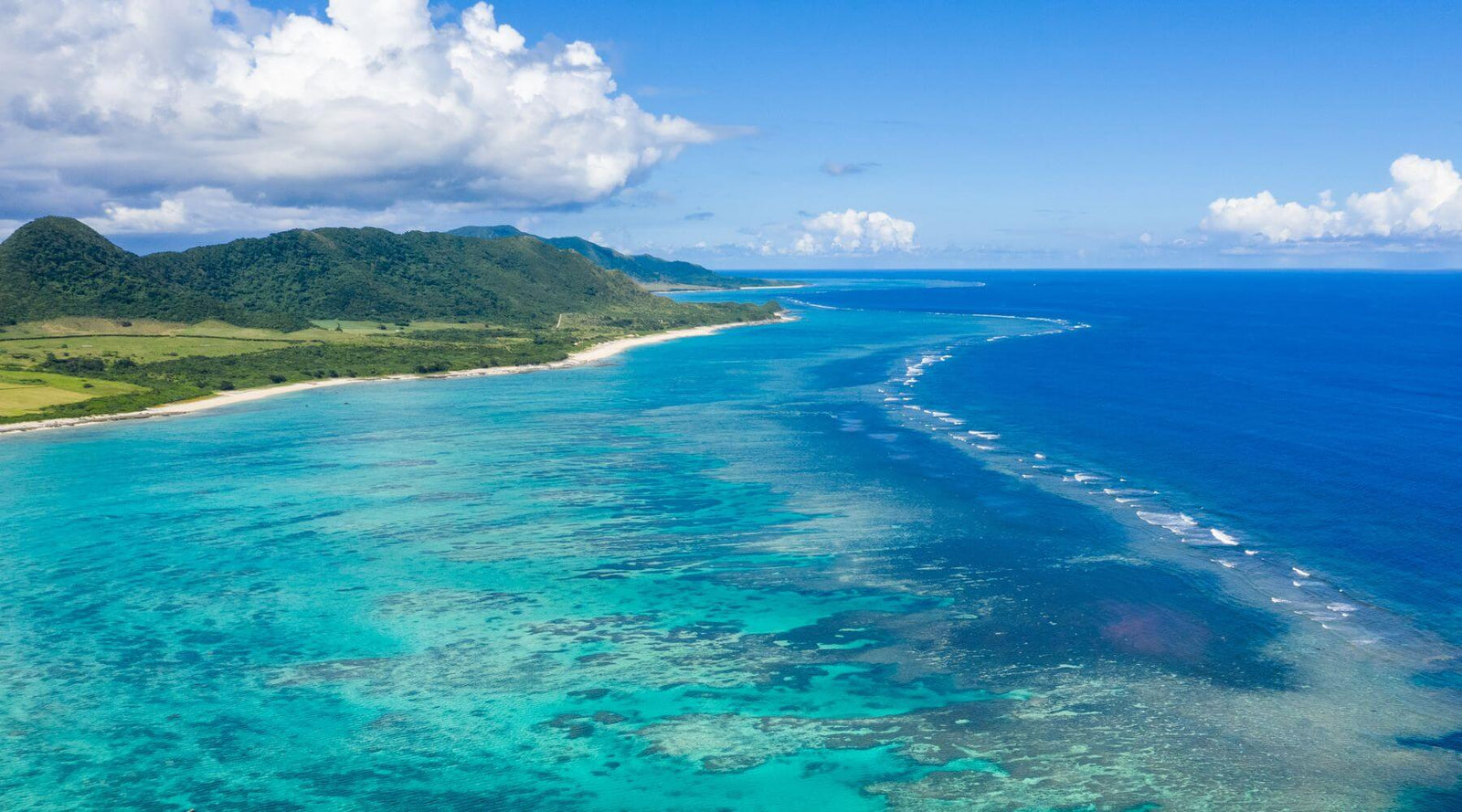 Aerial view of a tropical coastline