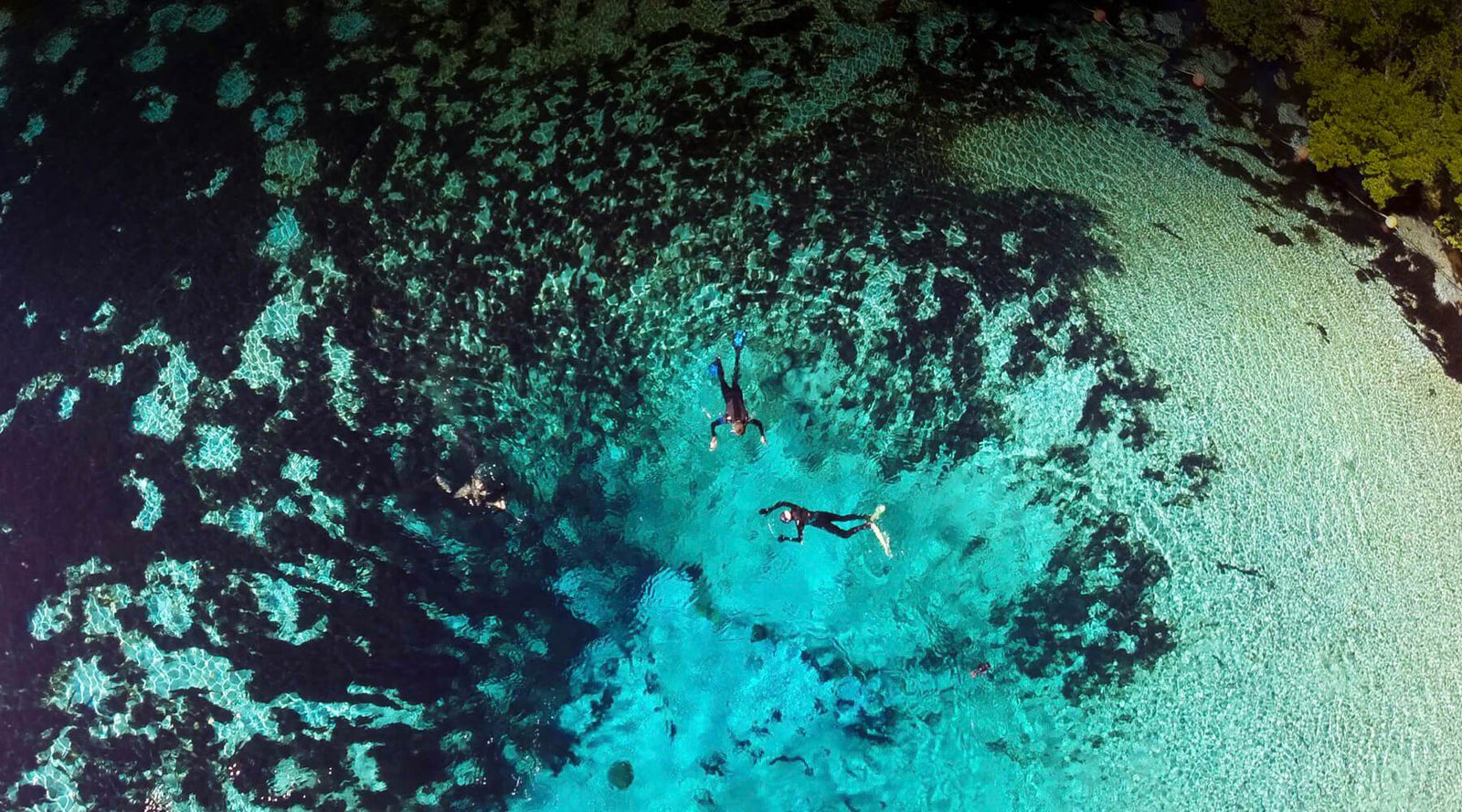 Floridan Aquifer-Waterlust