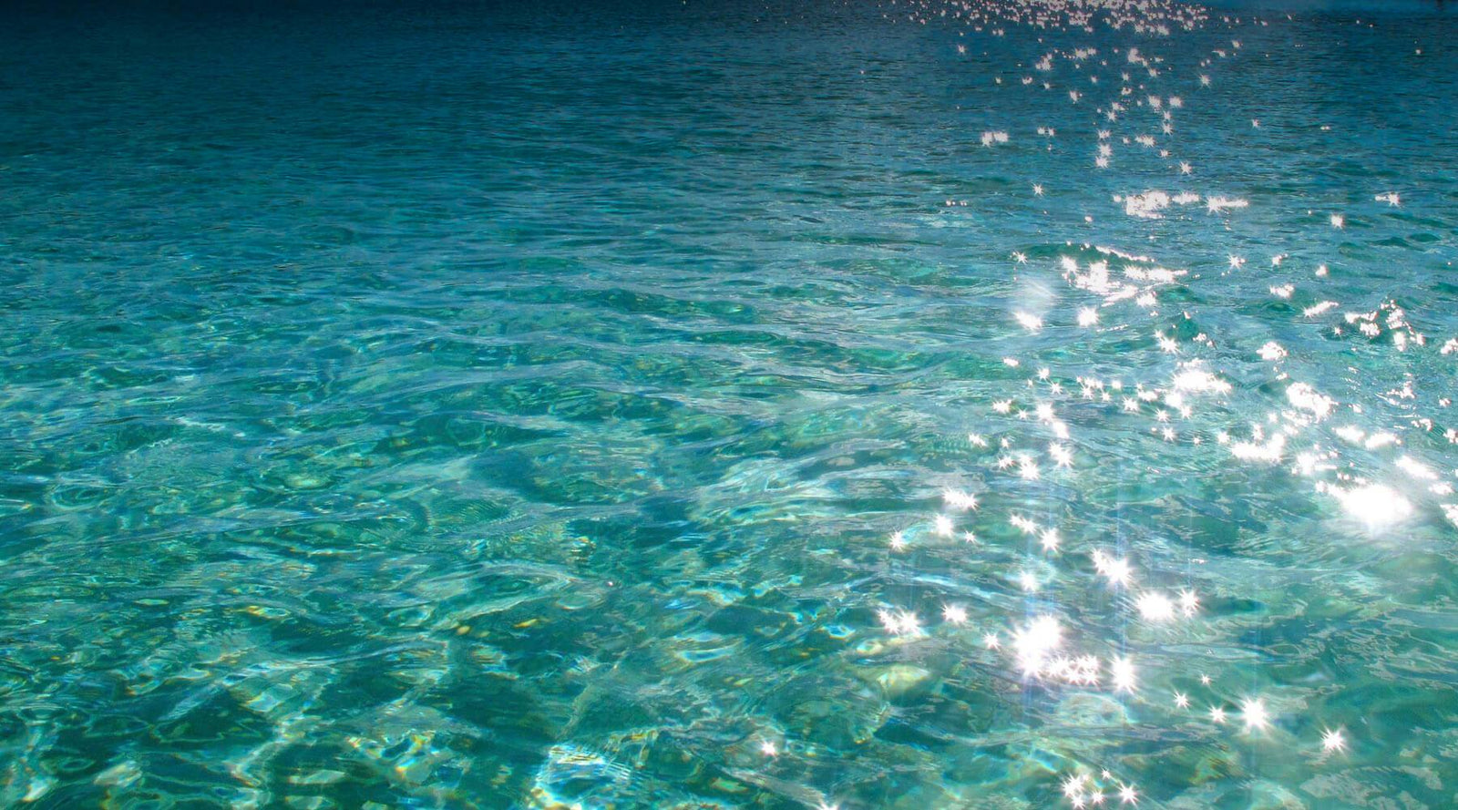 Coastal Resiliency-Waterlust