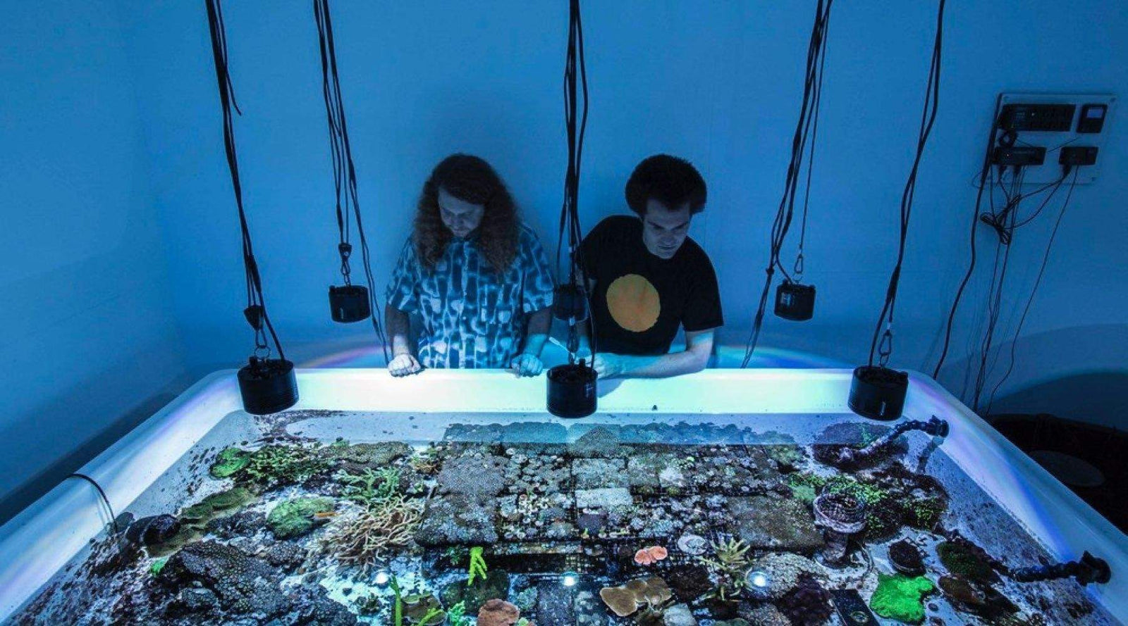 Coral Conservation-Waterlust