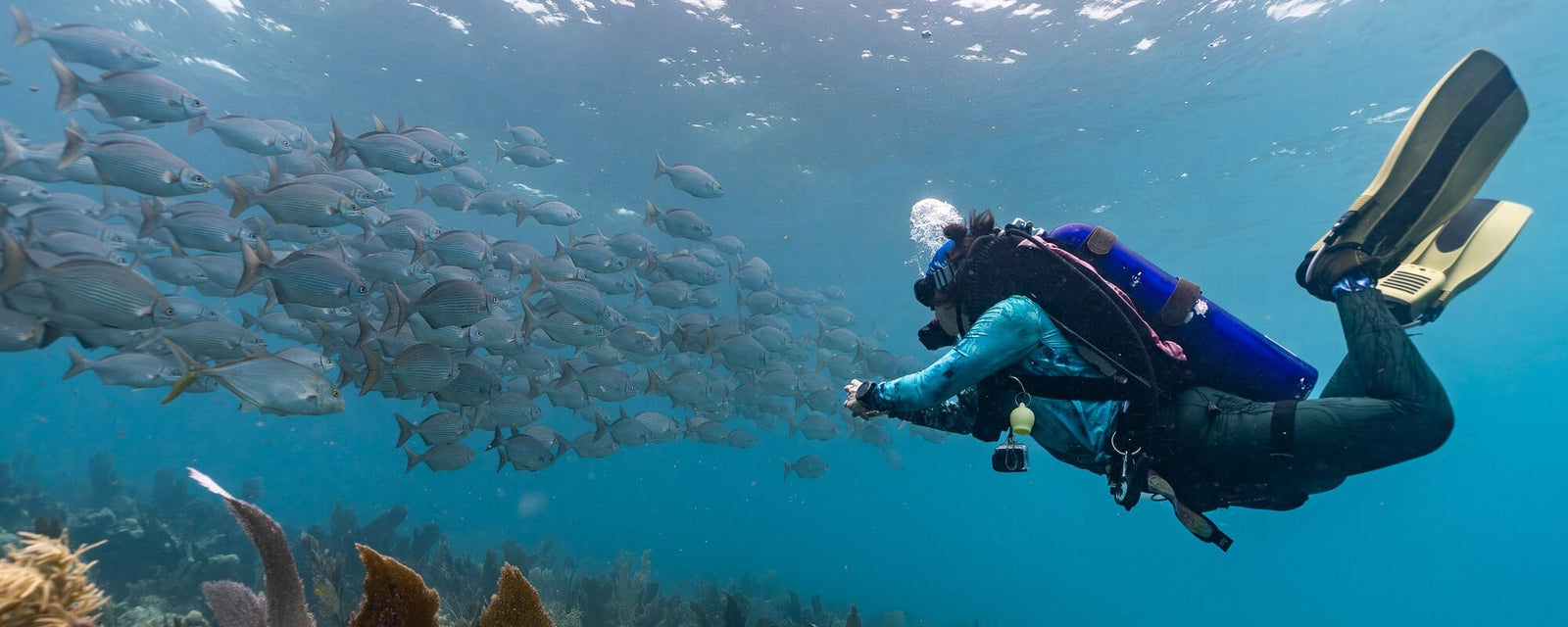 Women's Sun Shirts/Rashguards