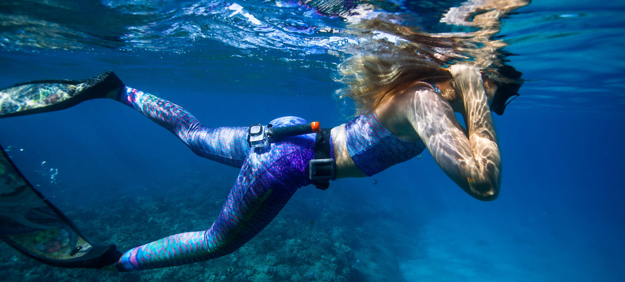 Waterlust - Eco-responsible apparel advocating for marine conservation