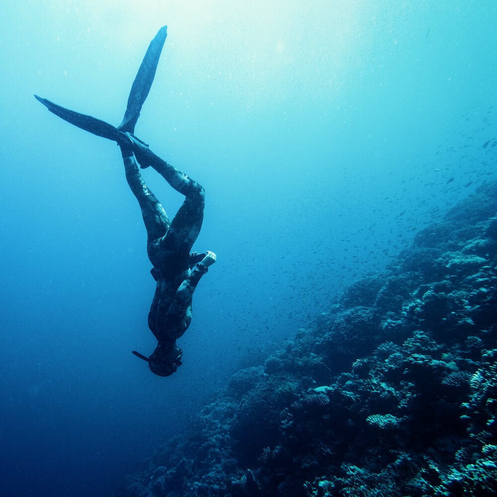 Coral Conservation Waterlust