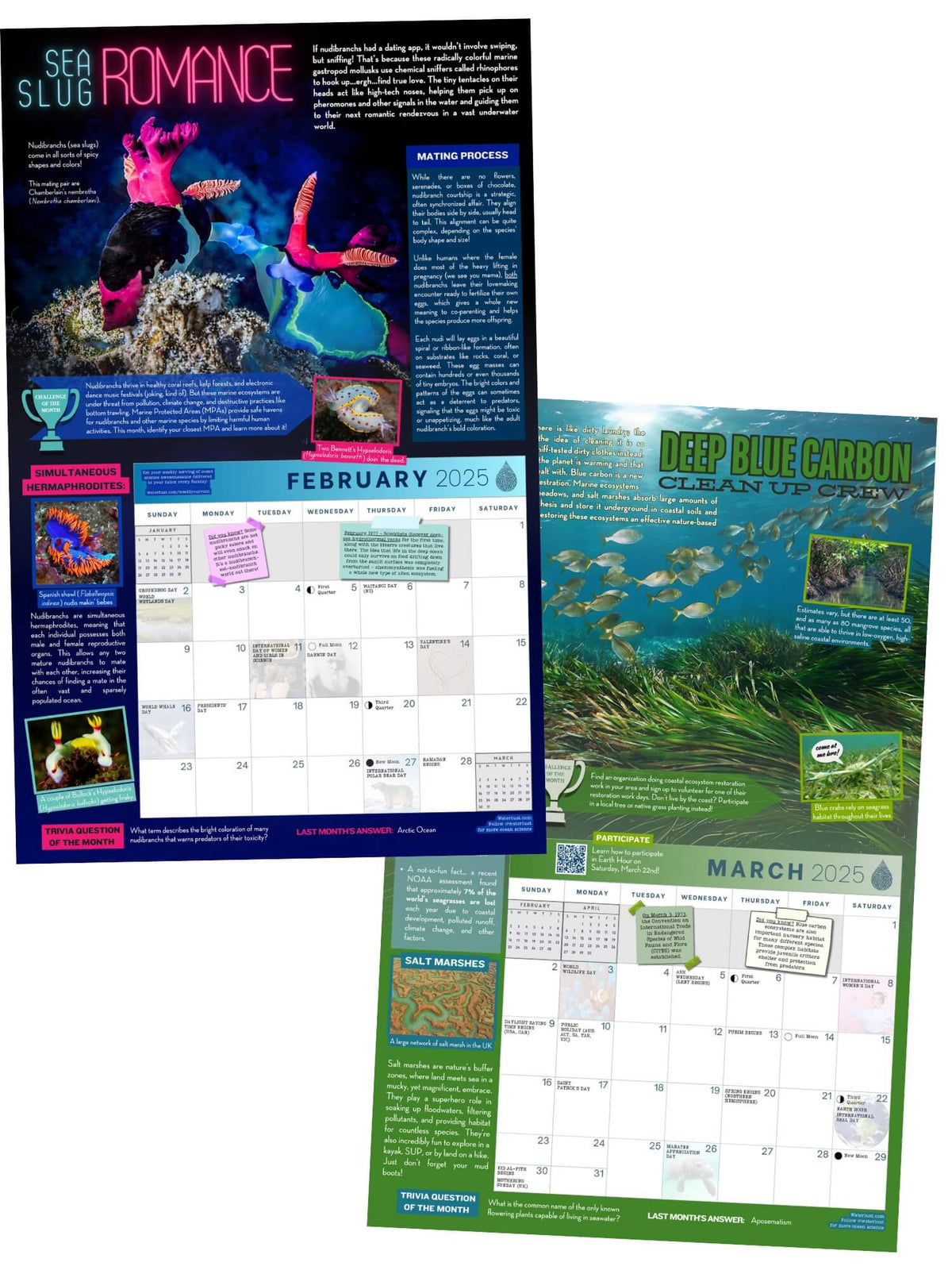 Ocean wall calendar - view of two example months, February and March