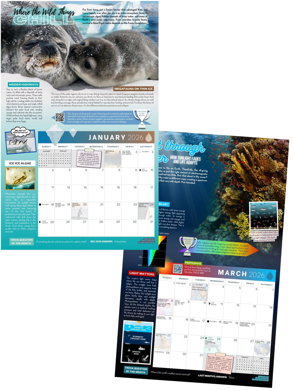2026 Waterlust Ocean Calendar