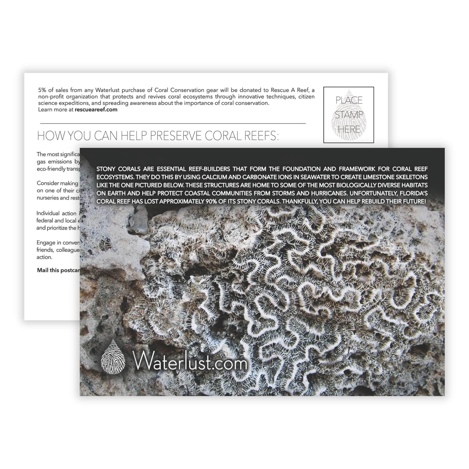 Coral Conservation Call-To-Action Postcard | Waterlust