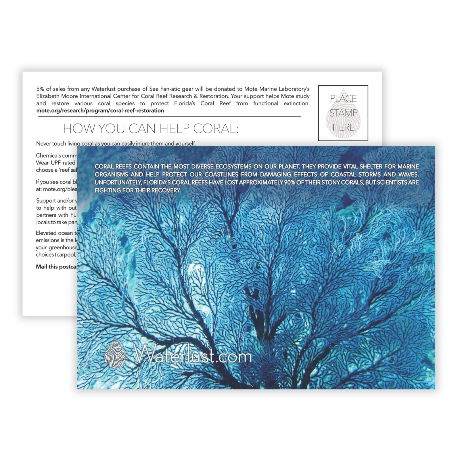 Coral Reef Restoration Call-To-Action Postcard | Waterlust