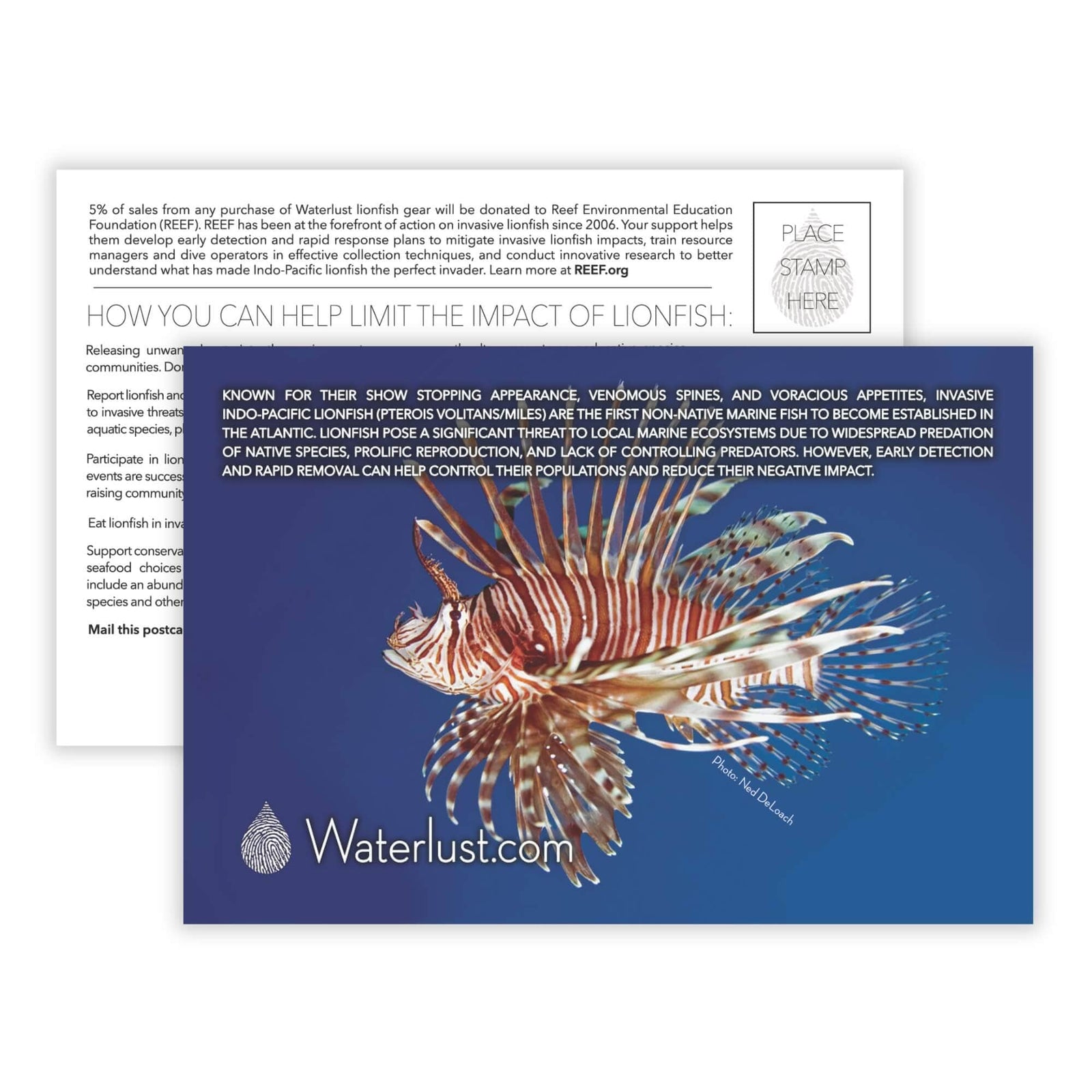 Invasive Lionfish Call-To-Action Postcard | Waterlust