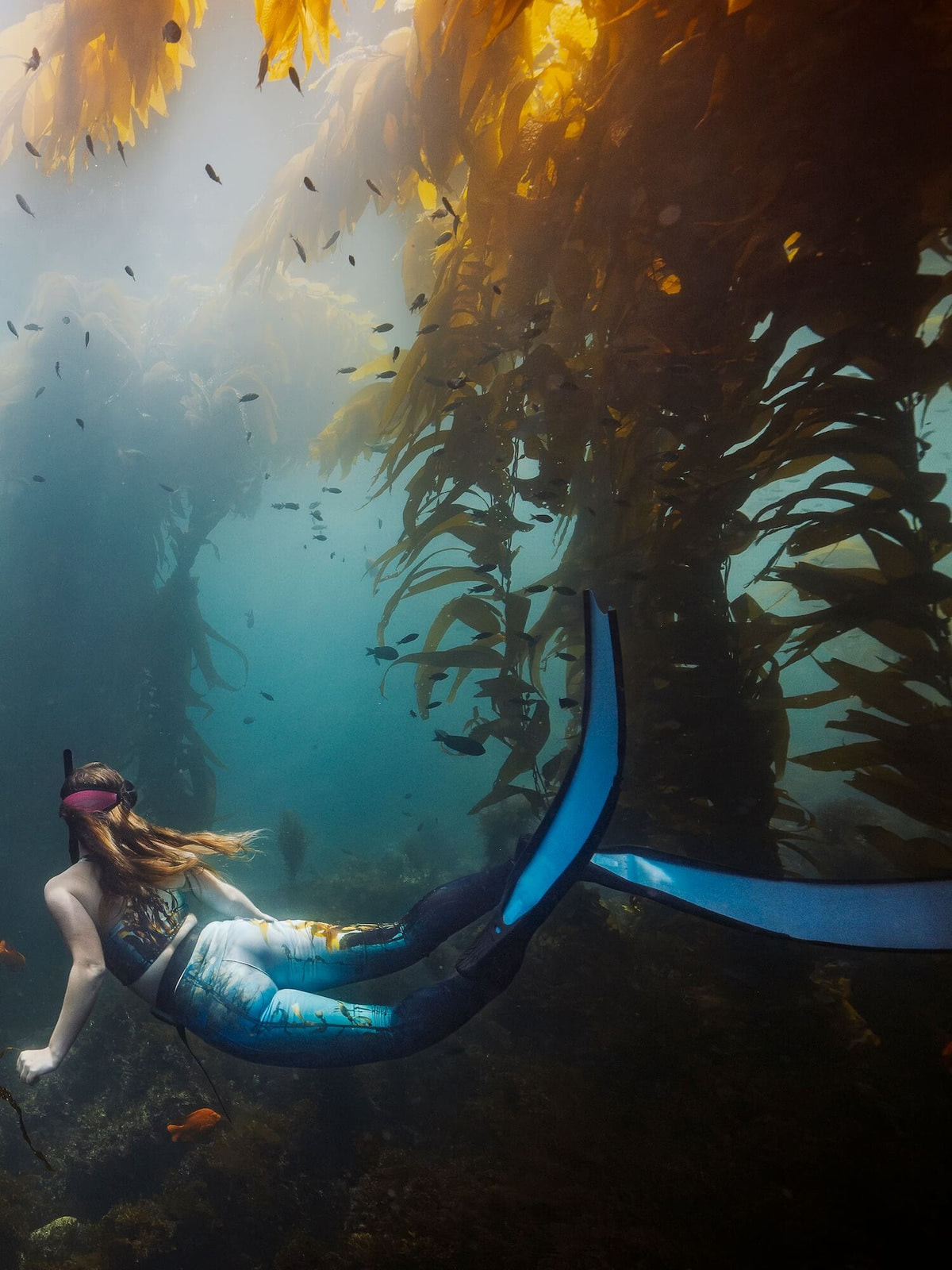 Kelp Forest Leggings