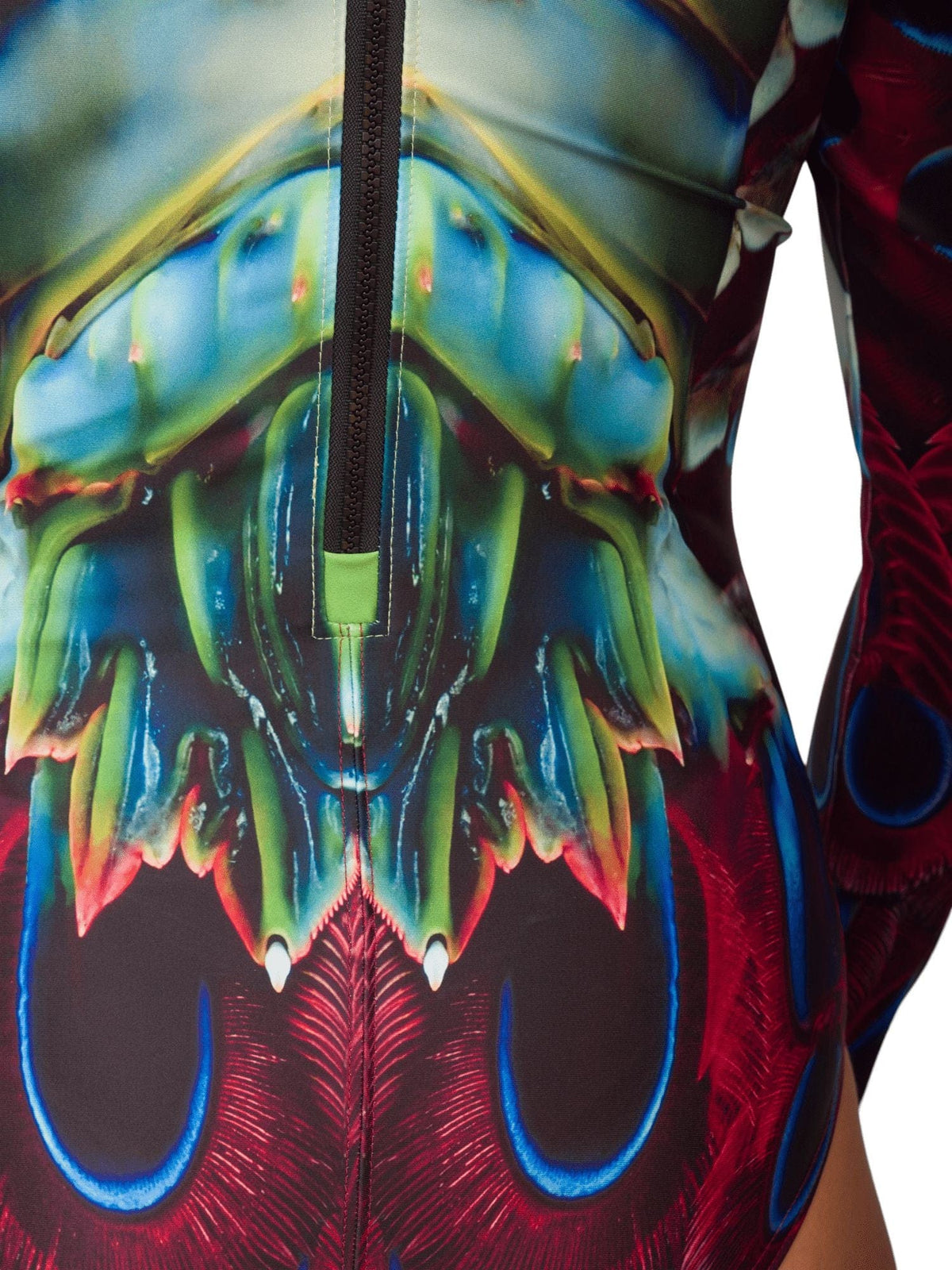 Close up view of the back of a mantis shrimp sun suit