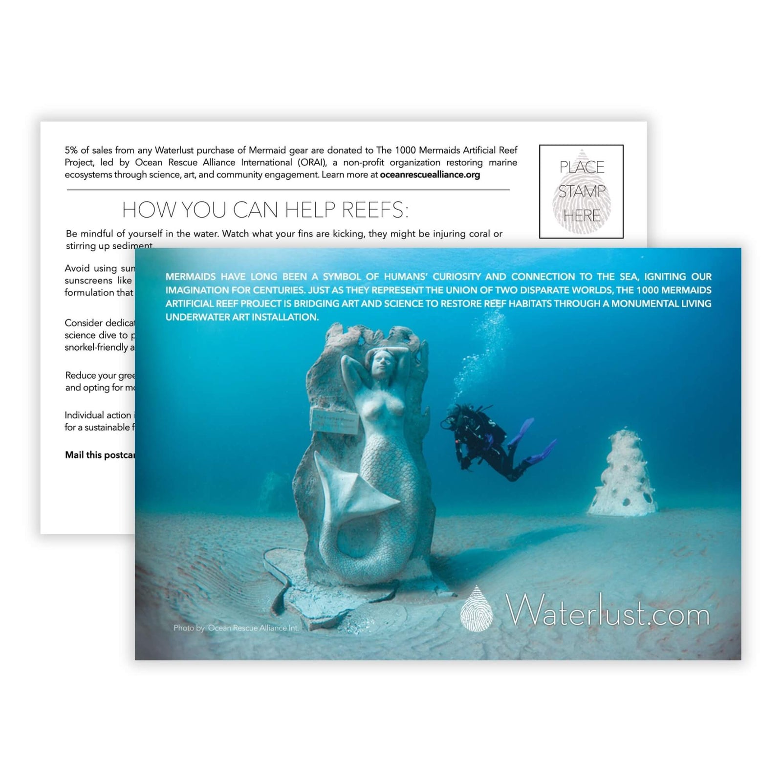 Mermaid Call-To-Action Postcard | Waterlust