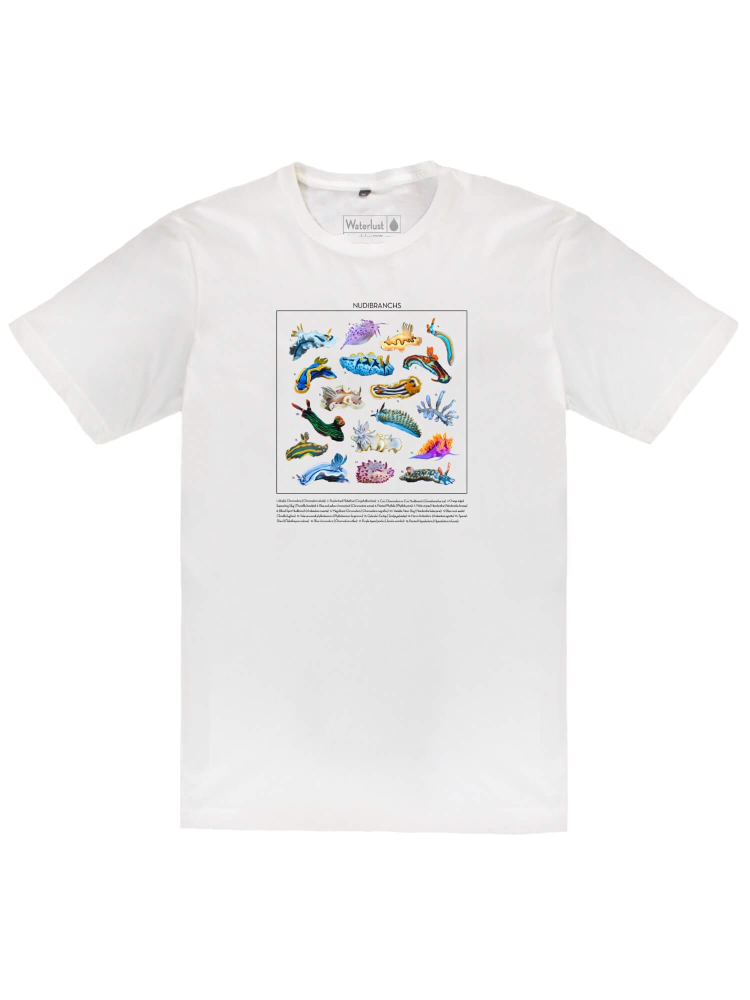 A white organic cotton tee with many colorful nudibranchs printed on the front along with their IDs.
