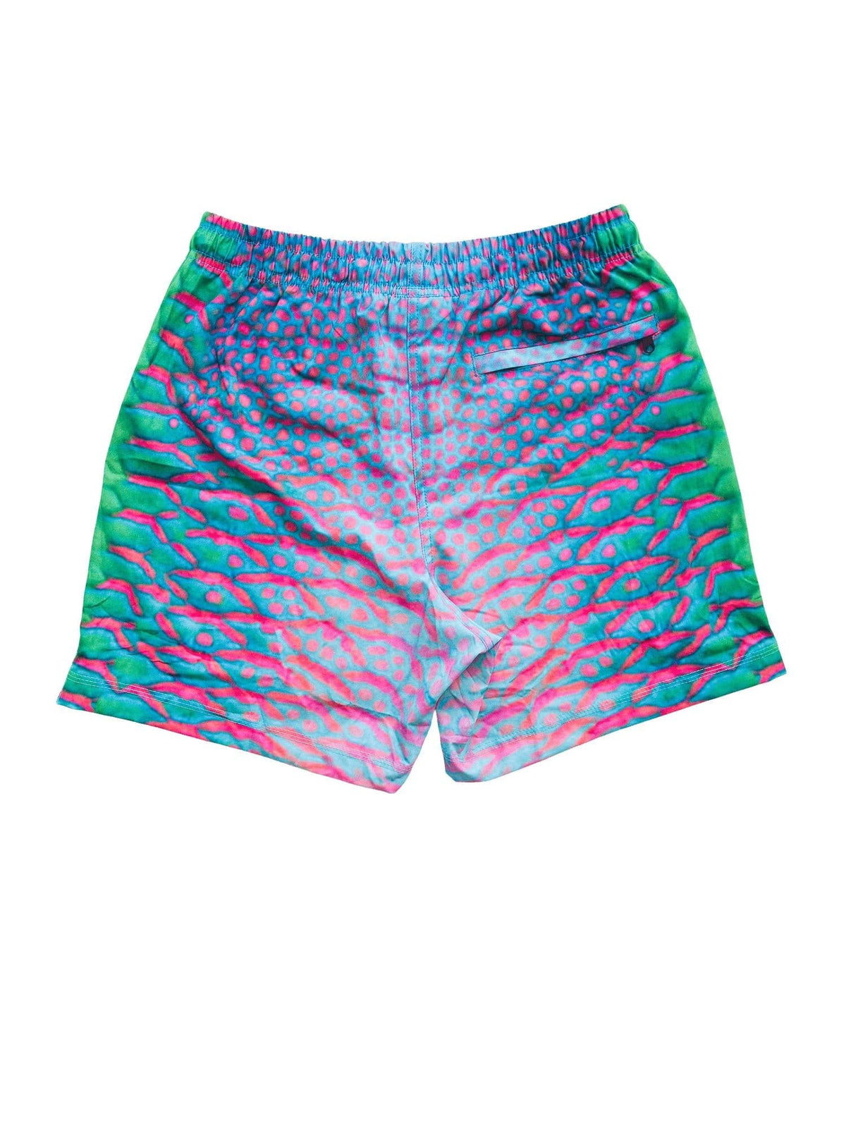Back view of the parrotfish shorts laying flat
