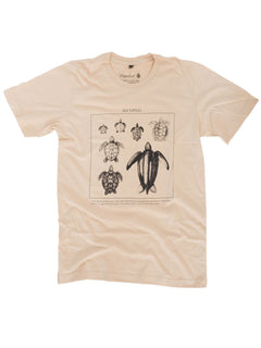 waterlust-sea-turtle-id-tee-