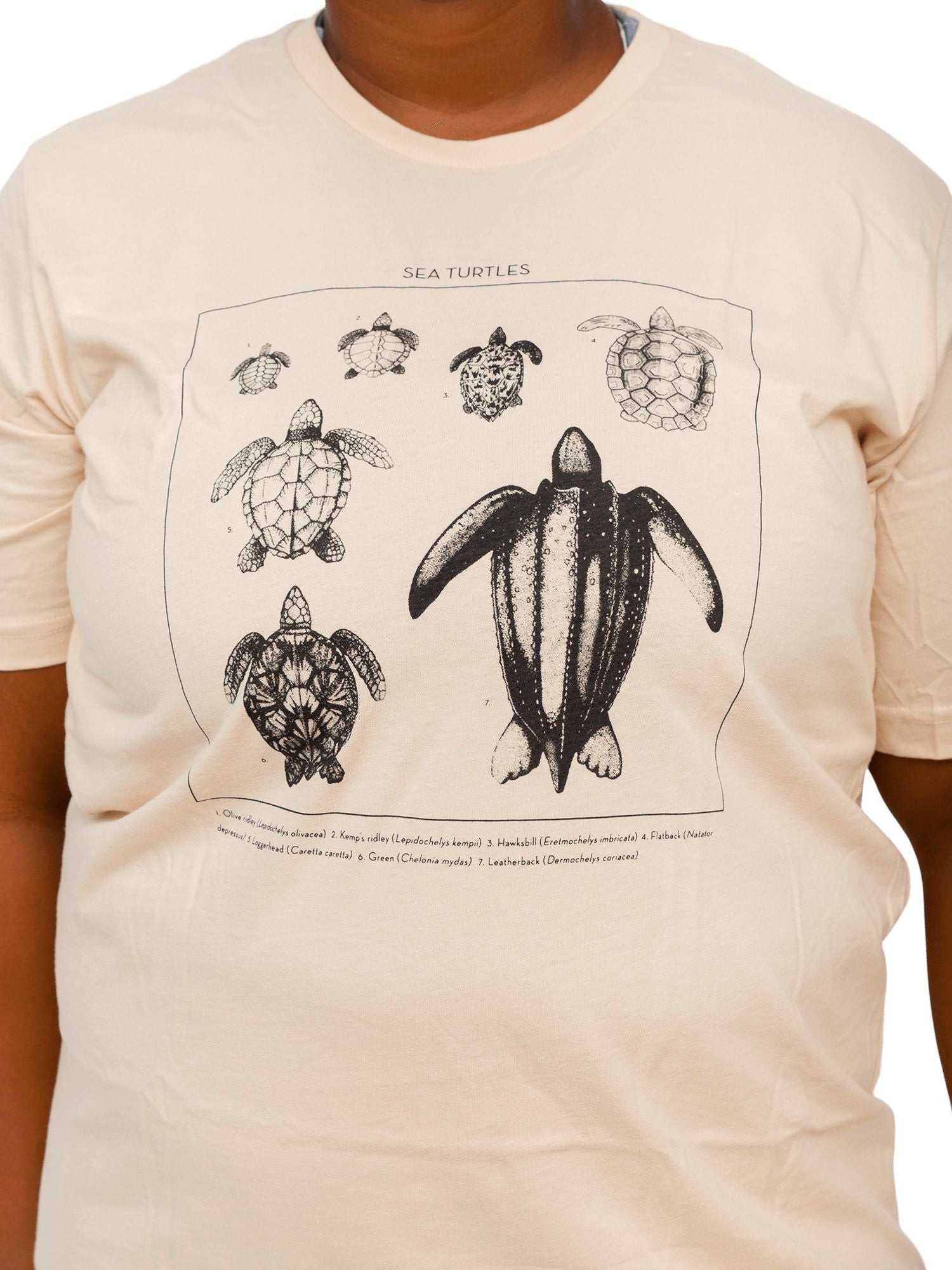 Sea Turtle ID Organic Cotton Tee | Algae Ink | GOTS Certifie
