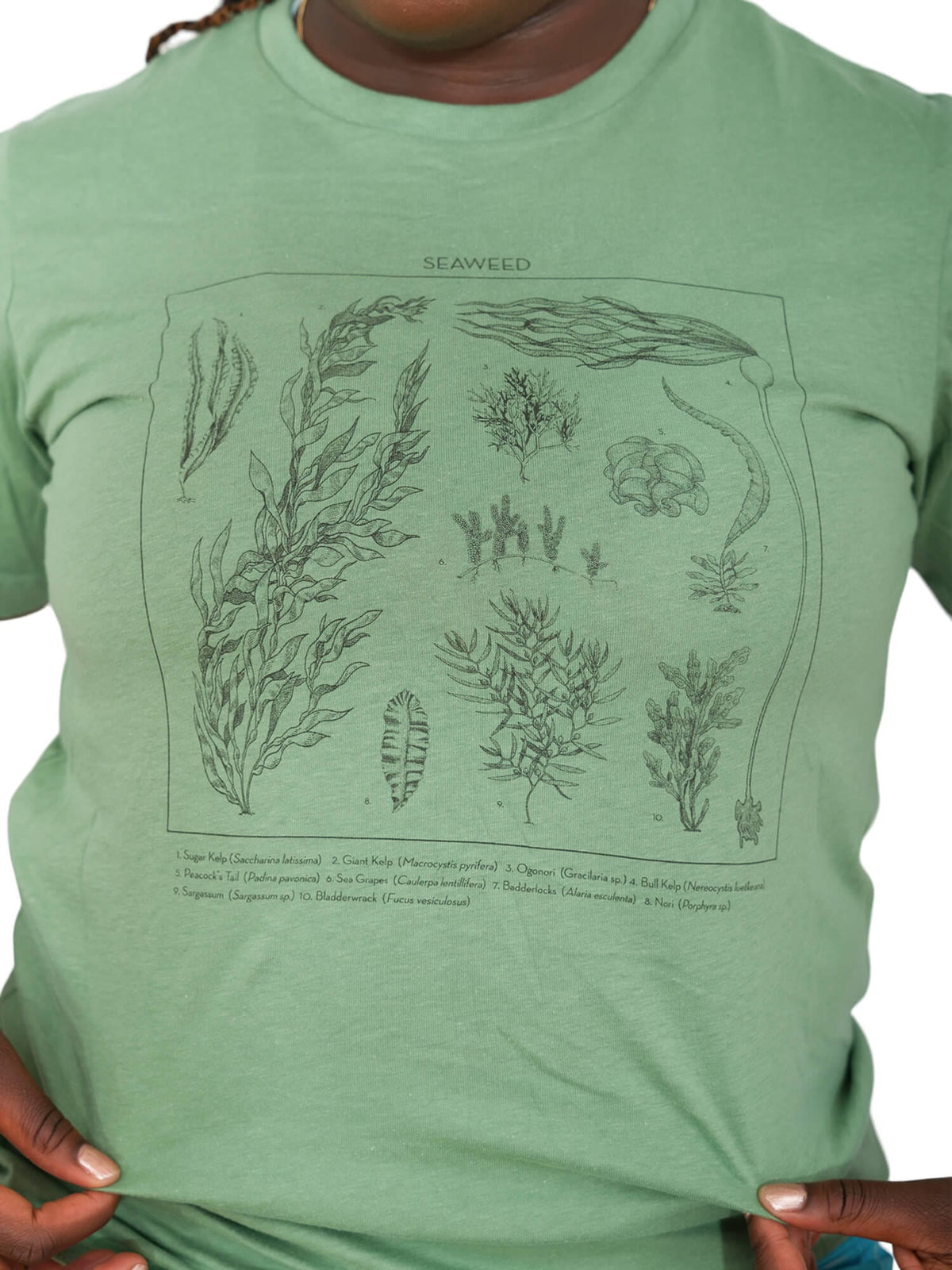 Seaweed ID Tee
