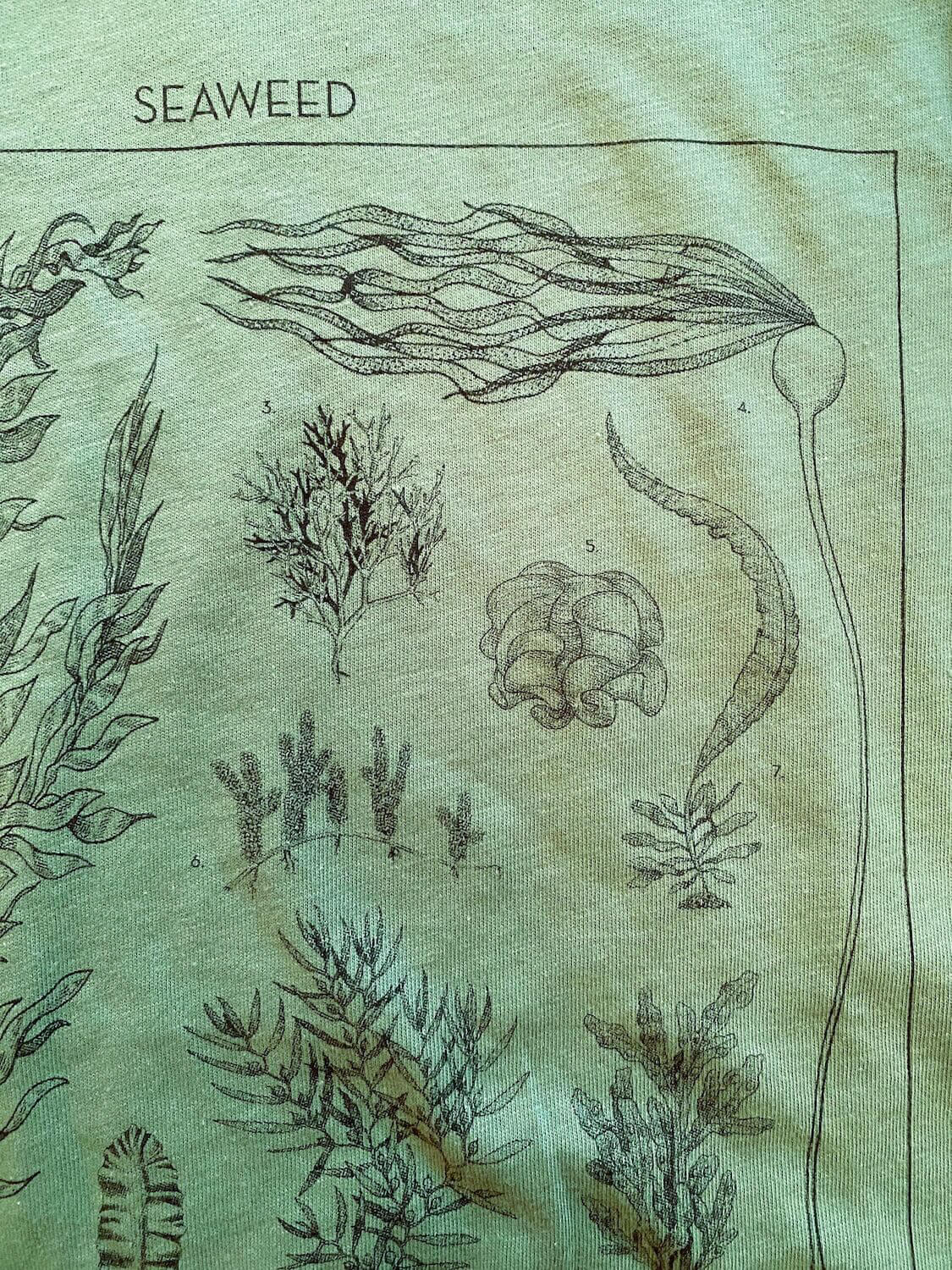 Seaweed ID Tee