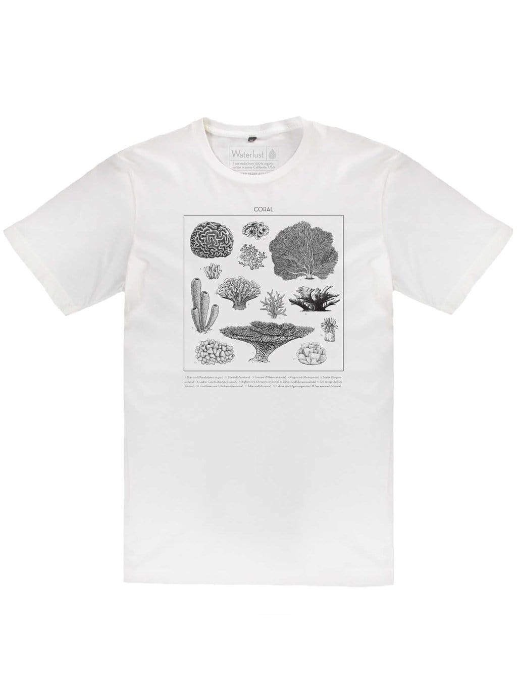 Flat, front view of the white tee with a coral identification graphic printed in black algae ink